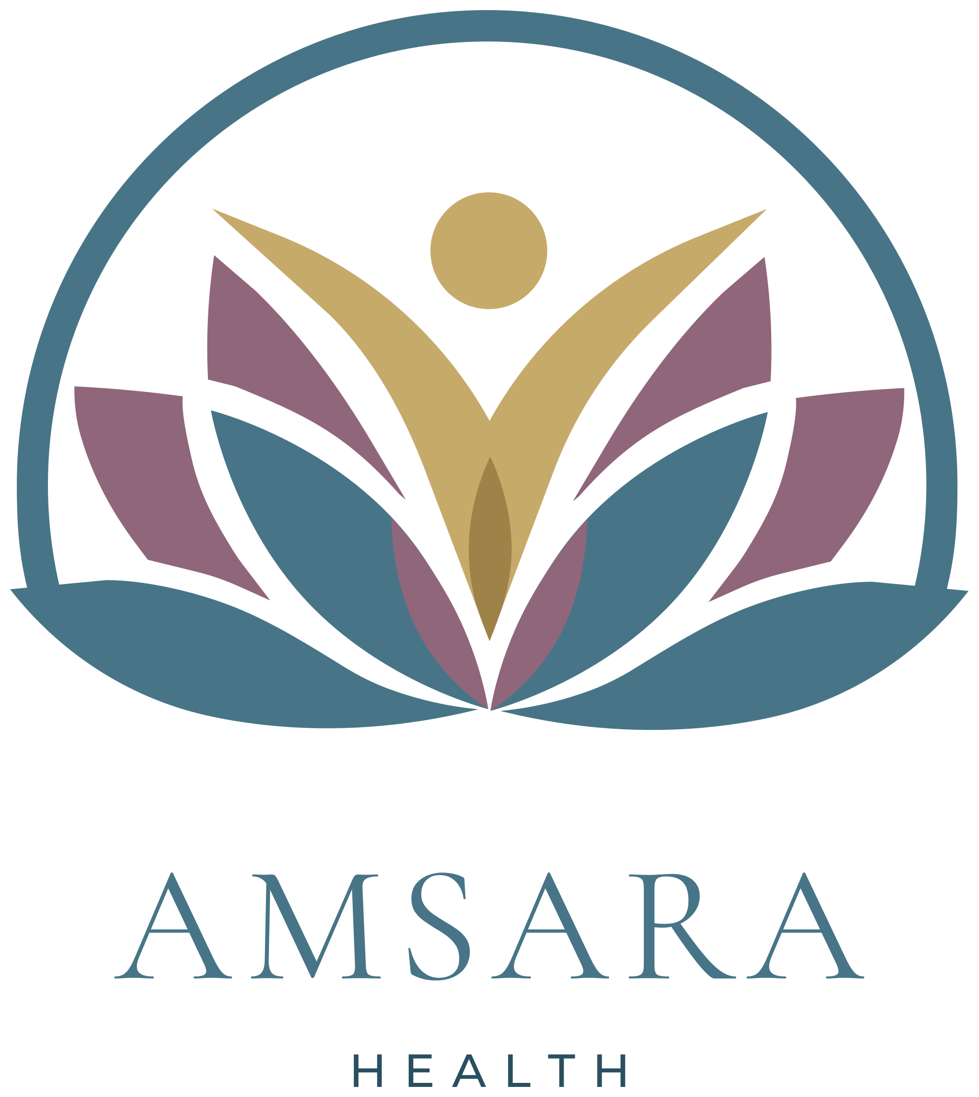 Amsara Health logo